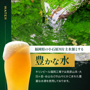 定期便 6ヶ月 キリン ビール ハートランドビール 500ml 中瓶 12本 箱入 お酒 アルコール 瓶 6回 お楽しみ 