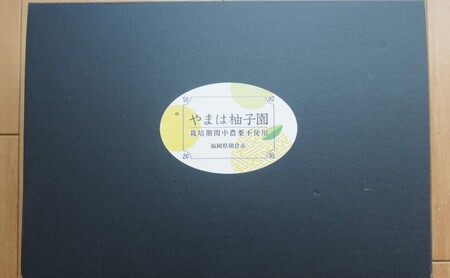 栽培期間中 無農薬 柚子胡椒 70g×5個 セット えっちゃんの粗みじん柚子胡椒 ゆず胡椒 調味料 