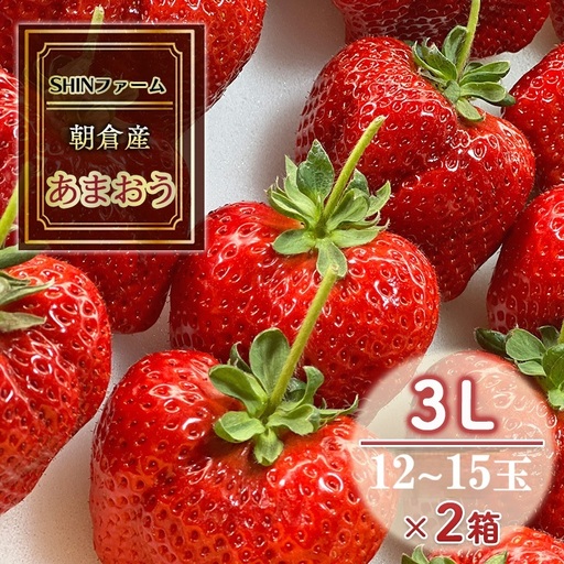 かぞブランド 埼玉生まれの希少いちご『あまりん』80～30粒入り（1000g