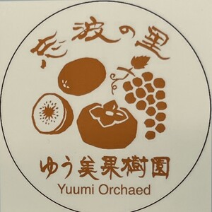 【朝倉市制施行20周年記念企画】 柿 志波の富有柿 Lサイズのみ×約12個入 ゆう美果樹園 ※配送不可:離島