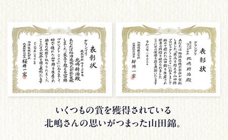 獺祭 純米大吟醸 磨き二割三分 720ml×2本 福岡県産山田錦使用 日本酒 酒 お酒 純米大吟醸 大吟醸