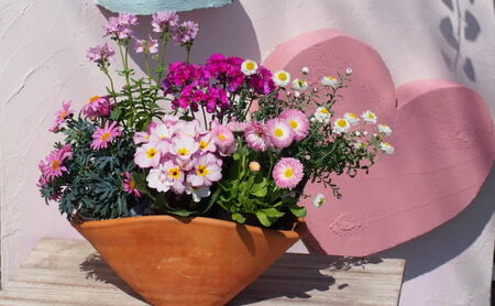 可愛いピンクのお花たっぷりの寄せ植え 舟形mサイズ 1個 福岡県朝倉市 ふるさと納税サイト ふるなび