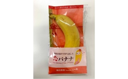 朝倉産【恋バナナ】5本セット