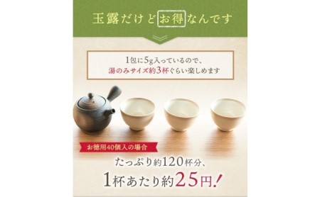 八女茶 玉露 ティーバッグ(50パック) お茶 緑茶