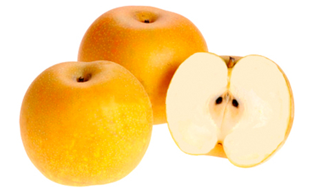 梨 朝倉産 旬の梨 約10kg 林農園 配送不可 離島 ナシ 果物 フルーツ 減農薬栽培 