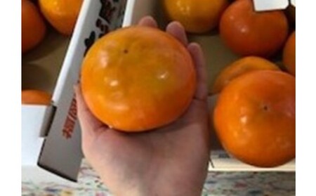 柿 志波 富有柿 冷蔵 約3kg 11～12玉 配送不可 離島 果物類 かき 