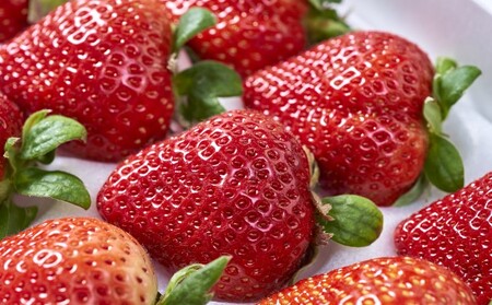 いちご あまおう 福岡産 12～15粒 ギフト 箱 約300g＆ふくや 味の明太子 540g 配送不可 離島 果物類 苺 イチゴ 魚貝類 