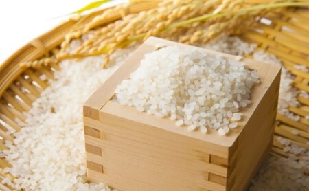 米 5kg 夢つくし 注文精米 福岡県 朝倉産 お米 (8分・5分・3分・玄米からお選びいただけます) 玄米