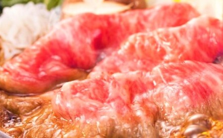 肉 博多 和牛 A4～A5 しゃぶしゃぶ すき焼き セット 500g 配送不可：離島 牛肉 しゃぶしゃぶ用 しゃぶしゃぶ肉 肩ロース 赤身 スライス ロース 鍋セット 