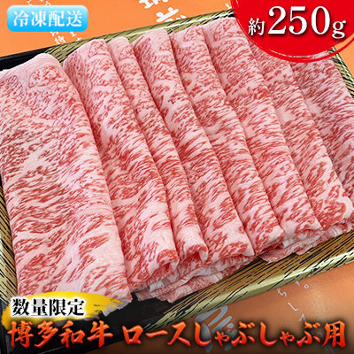 数量限定 牛肉 博多和牛 ロース しゃぶしゃぶ用 約250g 配送不可 離島 お肉 霜降り やわらかい きめ細かい 国産 国産牛 牛しゃぶ 肉料理 食材 食べ物 グルメ