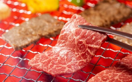 訳あり 牛肉 切り落とし A4~A5 焼肉 博多和牛 500g 訳アリ 配送不可:離島