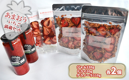 ジャム ドライフルーツ グラノーラ セット あまおうジャム 230g×2＋あまおうドライ 20g×2＋いちごいちごいちごあまおうグラノーラ 110g×2 加工食品 イチゴジャム ストロベリージャム シリアル 特別栽培 