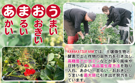 ジャム ドライフルーツ グラノーラ セット あまおうジャム 230g×2＋あまおうドライ 20g×2＋いちごいちごいちごあまおうグラノーラ 110g×2 加工食品 イチゴジャム ストロベリージャム シリアル 特別栽培 