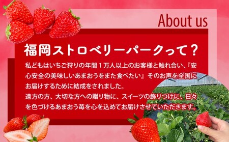 訳あり いちご 2026年2月下旬より発送 あまおう サイズ色々 8パック 約2.28kg 配送不可 離島 果物 フルーツ 福岡県特産 デザート おやつ 産地直送