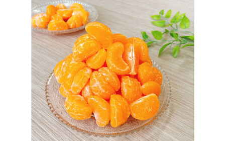 T12 ひとくちむかん 500g