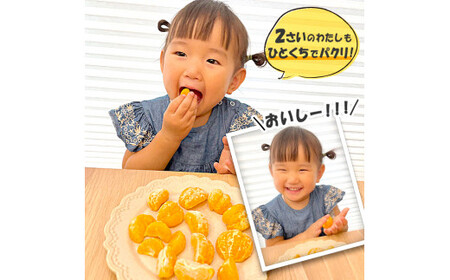 T12 ひとくちむかん 500g