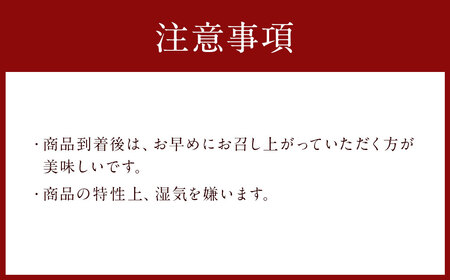 A218 有明海産 塩のり卓上タイプ（8切48枚）と塩のり（4切120枚）のり 海苔 塩海苔 卓上