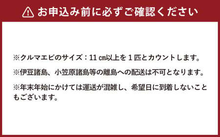 C25 【新技術で育てる】冷凍くるまえび