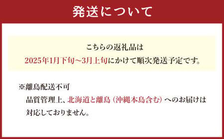 T21 あまおういちご2パック （約270g×2パック） 計約540g 【2025年1月下旬～3月上旬発送予定】 あまおう いちご ギフト フルーツ 果物 苺 くだもの 果実 福岡県 みやま市