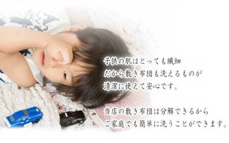 S64 スザキーズ 完全脱着式 敷き布団 （パラレーヴタイプ） シングルサイズ （100×210cm） 厚み約10cm 高反発 防ダニ 布団 敷布団 敷布団シングル