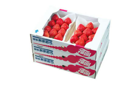 A159 【春】 あまおう 6パック いちご 【2026年2月上旬～3月下旬以降発送予定】