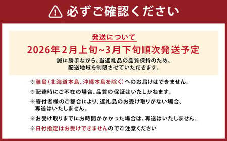 A159 【春】 あまおう 6パック いちご 【2026年2月上旬～3月下旬以降発送予定】