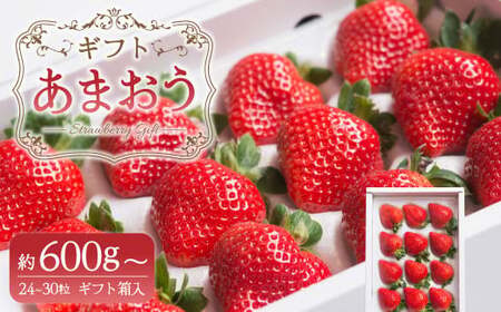 A161 【ギフト】 あまおう 24~30粒 いちご 【2025年12月上旬~2025年3月下旬発送予定】