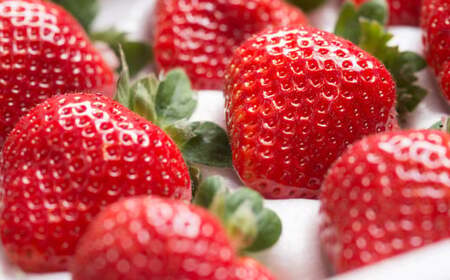 A161 【ギフト】 あまおう 24~30粒 いちご 【2025年12月上旬~2025年3月下旬発送予定】