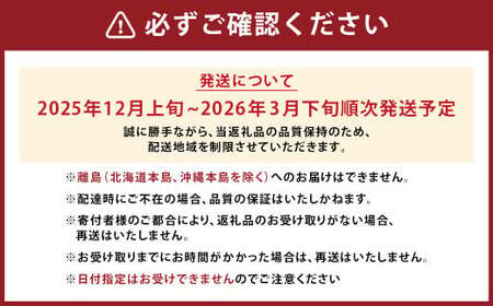 A161 【ギフト】 あまおう 24~30粒 いちご 【2025年12月上旬~2025年3月下旬発送予定】