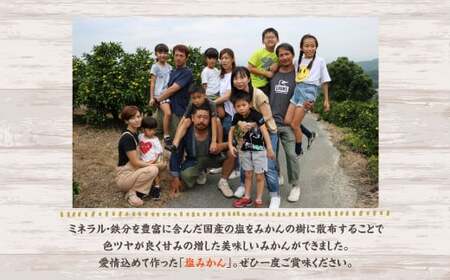 A157 福岡県山川産 塩みかん 5kg 【2025年11月上旬～12月下旬発送予定】 蜜柑 花藻塩