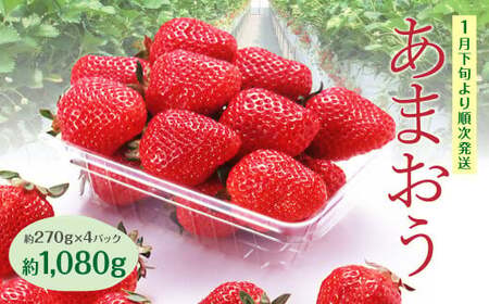 A1 あまおう いちご 4パック（約270g×4パック　計約1,080g）【2026年1月下旬～3月上旬迄順次発送予定】  苺 フルーツ 果物 くだもの 福岡県
