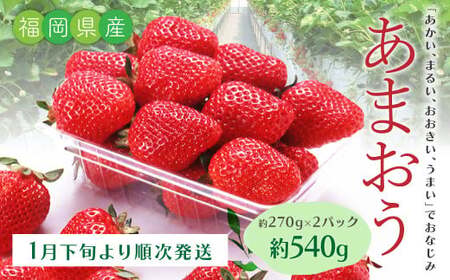 T21 あまおういちご2パック （約270g×2パック） 計約540g 【2026年1月下旬～3月上旬迄順次発送予定】 あまおう いちご ギフト フルーツ 果物 苺 くだもの 果実 福岡県 みやま市