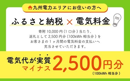 Z1 みやま市産 CO2 フリーでんき （2,500円×1ヶ月分） 電気料金 電気代 電力 エネルギー 節約 福岡県 みやま市