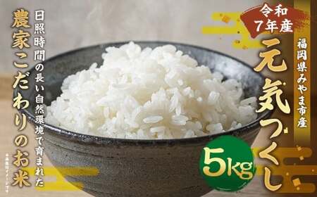 A324 【令和7年産】アッキーファームのお米「元気つくし」 5kg 白米 げんきつくし お米 こめ 精米 単一原料米 ごはん ご飯 福岡県産 国産 福岡県 みやま市 常温 【2025年11月上旬～2026年8月下旬まで順次発送予定】