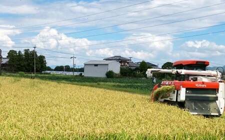 A324 【令和7年産】アッキーファームのお米「元気つくし」 5kg 白米 げんきつくし お米 こめ 精米 単一原料米 ごはん ご飯 福岡県産 国産 福岡県 みやま市 常温 【2025年11月上旬～2026年8月下旬まで順次発送予定】