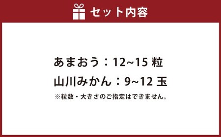 A331 福岡県産あまおう＆山川みかん詰合せ（あまおう12-15粒、山川みかん9-12玉） いちご イチゴ 苺 みかん ミカン 蜜柑 果物 くだもの フルーツ 詰合せ 【2025年12月中順次発送予定】