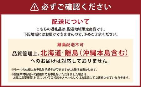 A331 福岡県産あまおう＆山川みかん詰合せ（あまおう12-15粒、山川みかん9-12玉） いちご イチゴ 苺 みかん ミカン 蜜柑 果物 くだもの フルーツ 詰合せ 【2025年12月中順次発送予定】