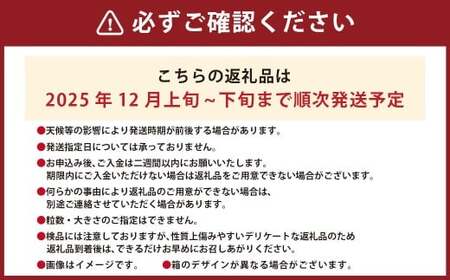 A331 福岡県産あまおう＆山川みかん詰合せ（あまおう12-15粒、山川みかん9-12玉） いちご イチゴ 苺 みかん ミカン 蜜柑 果物 くだもの フルーツ 詰合せ 【2025年12月中順次発送予定】