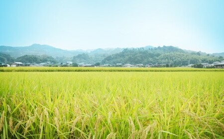 D4 【隔月6ヶ月定期便】【令和7年産】 隔月届く国際大会金賞「みやま米」 各2kg×2袋
