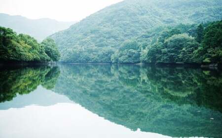 E3  【隔月6ヶ月定期便】【令和7年産】 隔月で届く国際大会金賞「みやま米」 各2kg×4袋