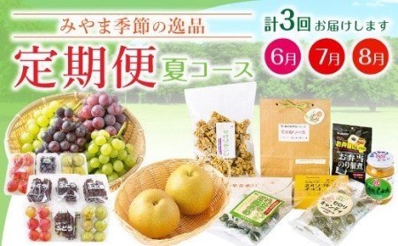 C2 季節の逸品 夏 特産品  定期 フルーツ 詰め合わせ すもも ぶどう デラウェア 梨