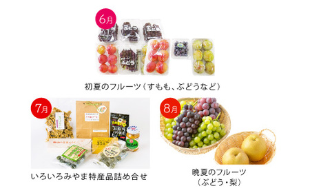 C2 季節の逸品 夏 特産品  定期 フルーツ 詰め合わせ すもも ぶどう デラウェア 梨