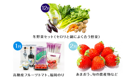 野菜セットC（キャベツ4玉・たまねぎ・にんじん約4kg・ピーマン約2kg