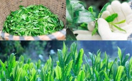 A39 八女茶和ごころじんわりティー３缶セット（ティーパック）