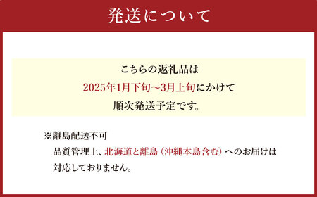 A1 あまおう いちご 4パック（約270g×4パック　計約1,080g）【2025年1月下旬～3月上旬発送予定】  苺 フルーツ 果物 くだもの 福岡県