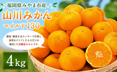 A2 山川 みかん マイルド130 4kg 蜜柑 山川みかん ミカン 厳選 【2024年11月上旬～2024年12月上旬発送予定】