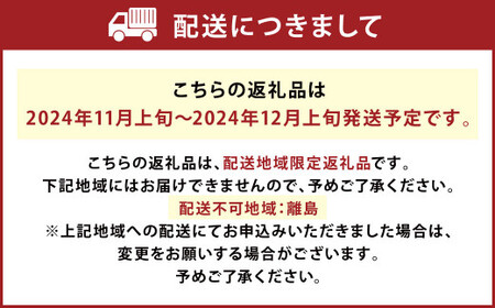 A2 山川 みかん マイルド130 4kg 蜜柑 山川みかん ミカン 厳選 【2024年11月上旬～2024年12月上旬発送予定】