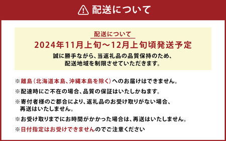 A158 福岡県山川産 塩みかん 10kg 【2024年11月上旬～12月上旬発送予定】 蜜柑 花藻塩