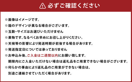 A158 福岡県山川産 塩みかん 10kg 【2024年11月上旬～12月上旬発送予定】 蜜柑 花藻塩