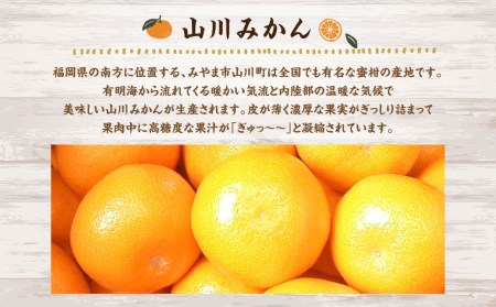 A158 福岡県山川産 塩みかん 10kg 【2024年11月上旬～12月上旬発送予定】 蜜柑 花藻塩